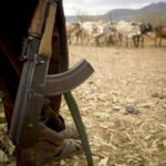 Protests In Benue State As Death Toll From Armed Herdsmen Attacks Hit 51