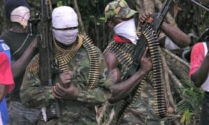 Read more about the article Soldiers protecting herdsmen killing us – Benue youths cry out