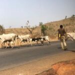 Intersociety Releases Names Of Over 70 Benue, Kaduna Residents Slaughtered By Armed Herdsmen In Past Weeks