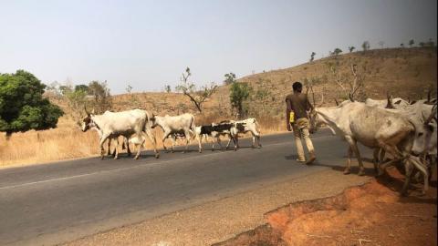 You are currently viewing Intersociety Releases Names Of Over 70 Benue, Kaduna Residents Slaughtered By Armed Herdsmen In Past Weeks
