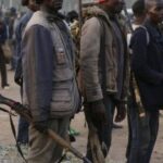 Amid Renewed Attacks: Villagers Mobilise, Kill 50 Bandits In Self-defence