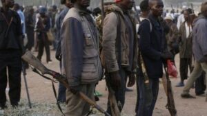 Read more about the article Amid Renewed Attacks: Villagers Mobilise, Kill 50 Bandits In Self-defence