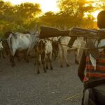 Herdsmen kidnap 8 people and kill a passenger on a bus in Delta.