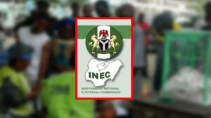 Read more about the article Party Agents, Thugs, Cart Away Unused Ballot Papers In Edo State, Security Agents, INEC Officials Turn Blind Eyes