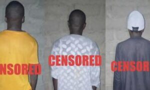 Read more about the article Top ISWAP Commanders, 76 Fighters Surrender to Nigerian Troops in Fresh Counterterrorism Breakthrough