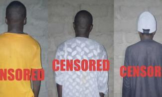 You are currently viewing Top ISWAP Commanders, 76 Fighters Surrender to Nigerian Troops in Fresh Counterterrorism Breakthrough