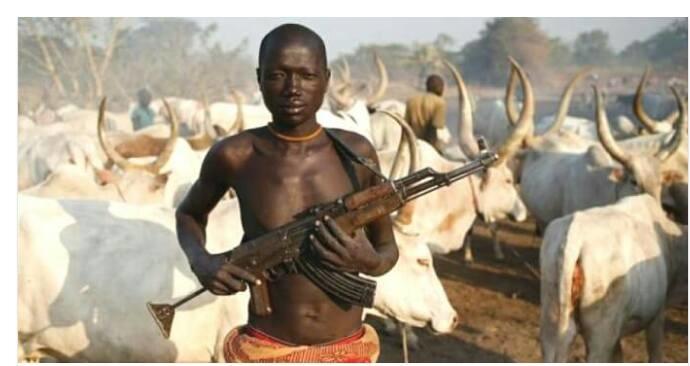 Police Confirm 18 Killed in Farmers–Herders Clash in Niger State