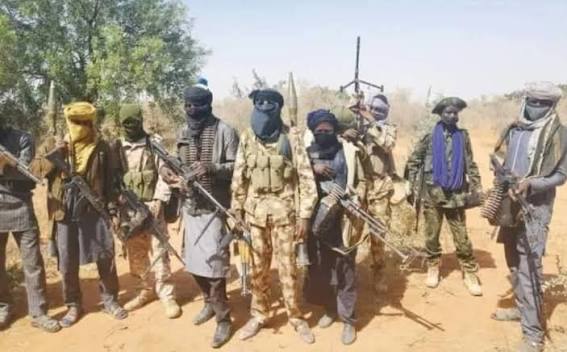 Six Killed as Bandits Force Residents to Flee Over 30 Villages in Sokoto