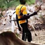 10 Killed, Over 15 Injured as Suspected Armed Herders Attack Benue Community