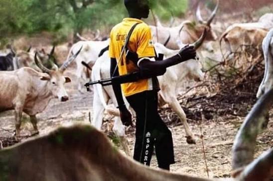 10 Killed, Over 15 Injured as Suspected Armed Herders Attack Benue Community