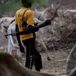 BREAKING: Two Killed, About 30 Missing as Suspected Herdsmen Attack Benue Communities